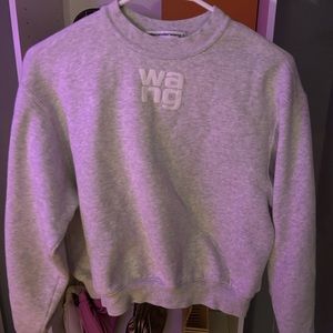 Alexander wang grey sweatsuit